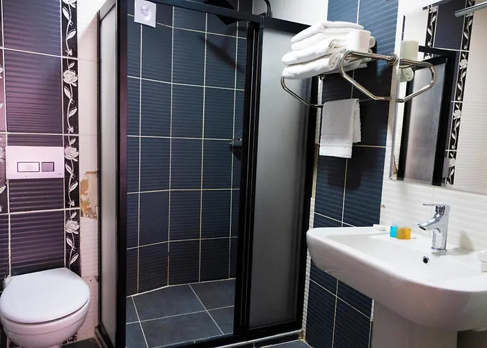 Hotel Cinar Istanbul